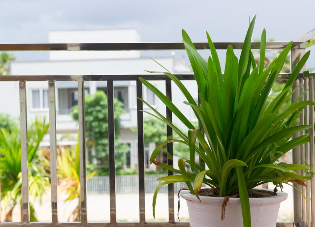 Overflow Guesthouse Siem Reap Esterno foto
