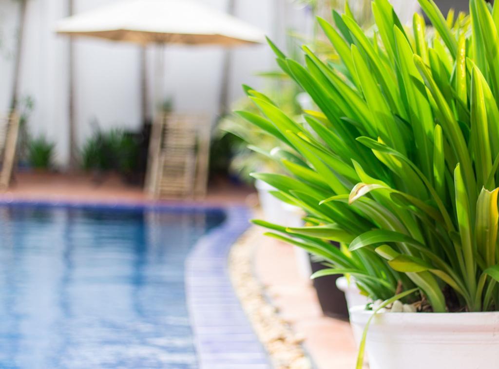 Overflow Guesthouse Siem Reap Esterno foto